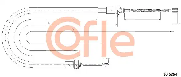 COFLE 10.6894