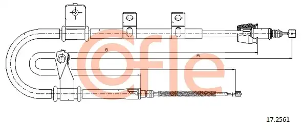COFLE 17.2561