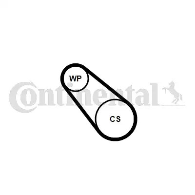 CONTITECH 3PK576 ELAST WP2