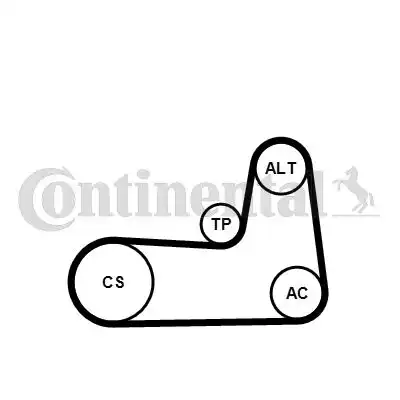 CONTITECH 5PK1125K1