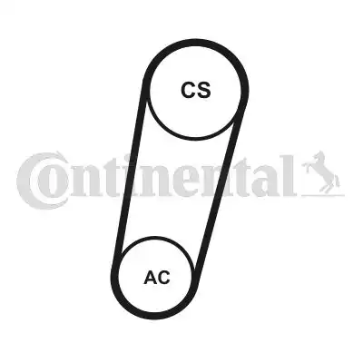 CONTITECH 5PK705 ELAST T1