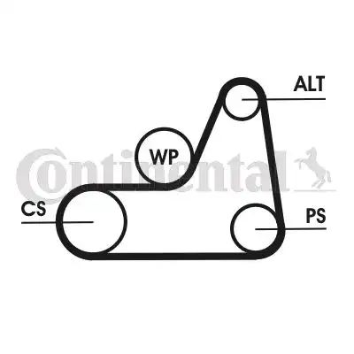 CONTITECH 6PK1042 ELAST T1