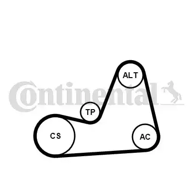 CONTITECH 6PK1100K1