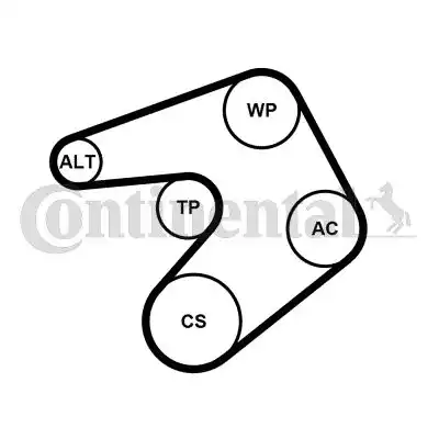CONTITECH 6PK1205K1