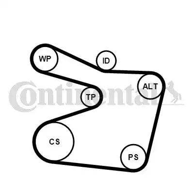 CONTITECH 6PK1555K1