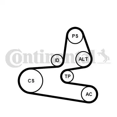 CONTITECH 6PK1564K1