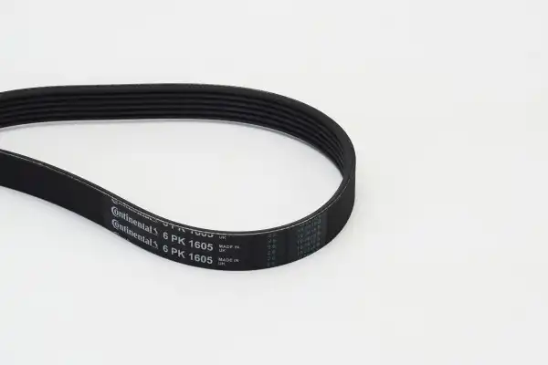 CONTITECH 6PK1605