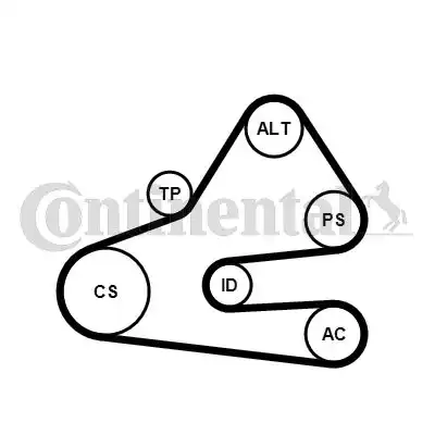 CONTITECH 6PK1613K1