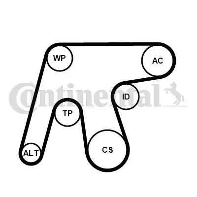 CONTITECH 6PK1642WP3