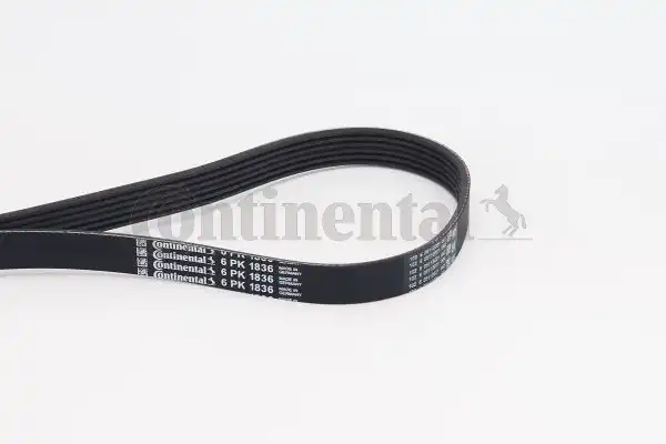 CONTITECH 6PK1836