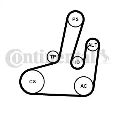 CONTITECH 6PK1845K1