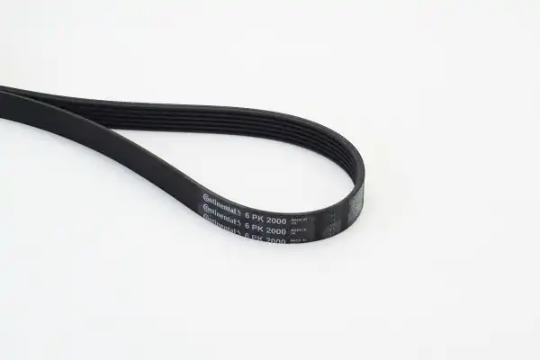 CONTITECH 6PK2000