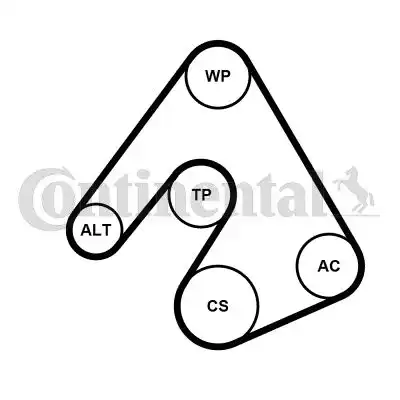 CONTITECH 6PK2490WP1