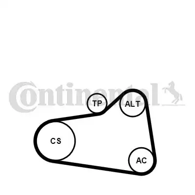 CONTITECH 6PK905 EXTRA K1