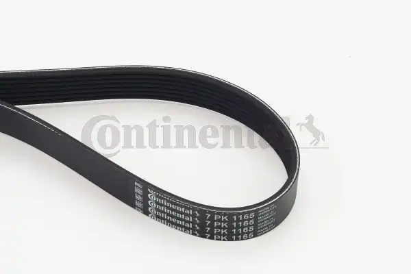 CONTITECH 7PK1165