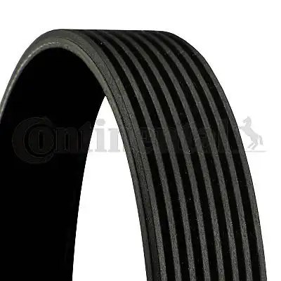 CONTITECH 8PK2546