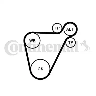 CONTITECH 8PK954 EXTRA K1