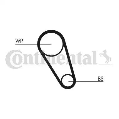 CONTITECH CT1185WP4