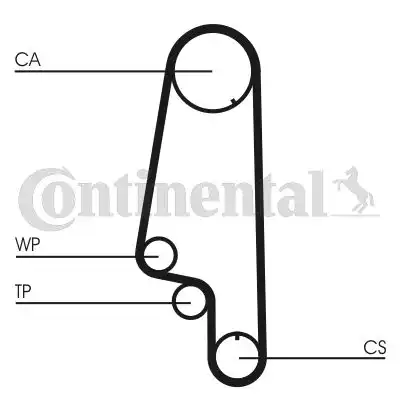 CONTITECH CT846WP3