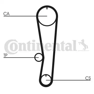 CONTITECH CT895