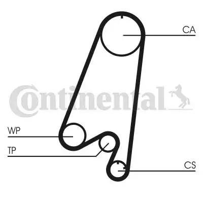CONTITECH CT910WP1