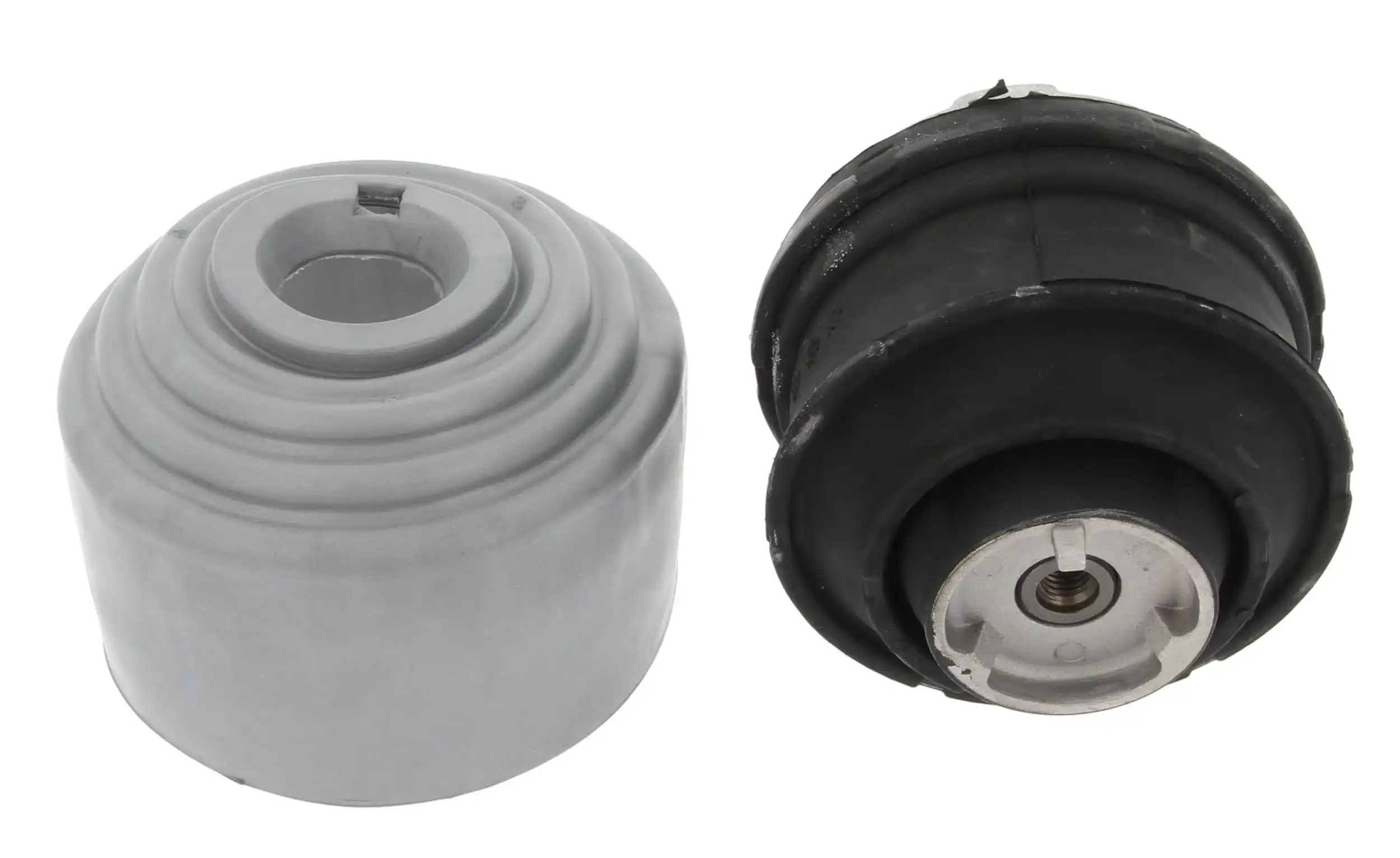 CORTECO 80001065