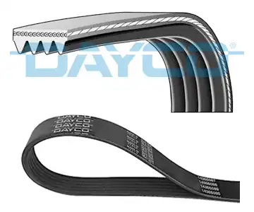 DAYCO 4PK798EE