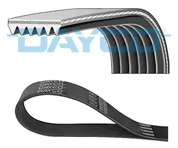DAYCO 6PK1194K