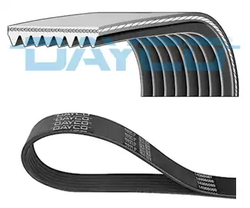 DAYCO 8PK2585