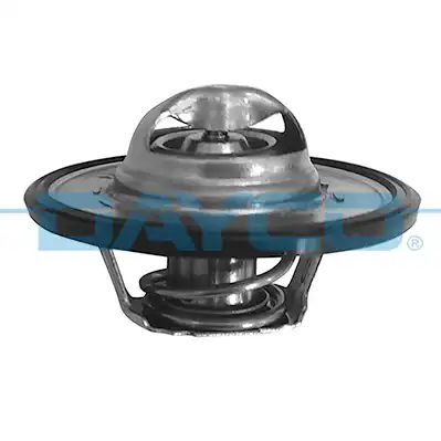 DAYCO DT1019V