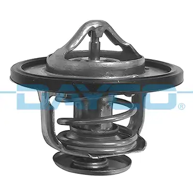 DAYCO DT1055V