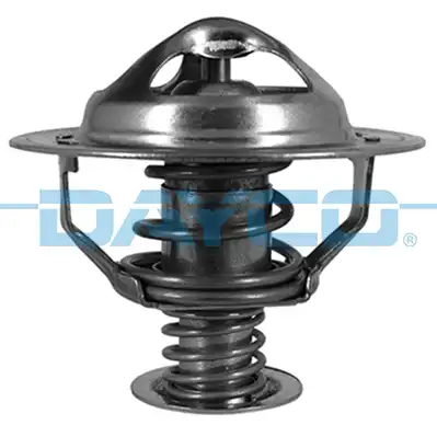 DAYCO DT1061V