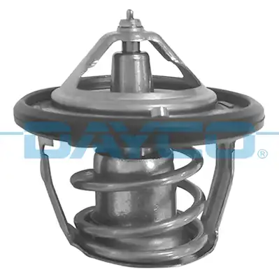 DAYCO DT1213V