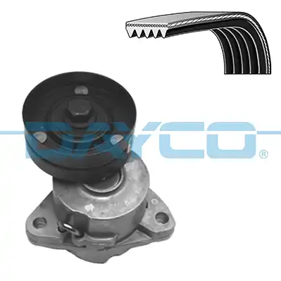 DAYCO KPV870