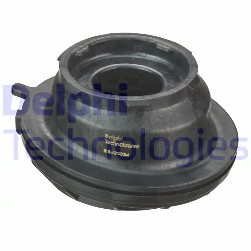 DELPHI BSJ30024