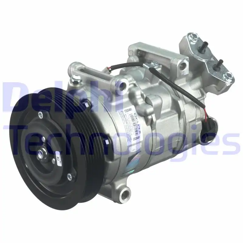 DELPHI CS20481