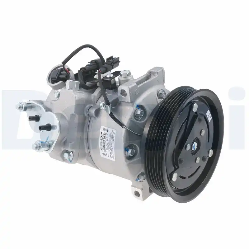 DELPHI CS20598