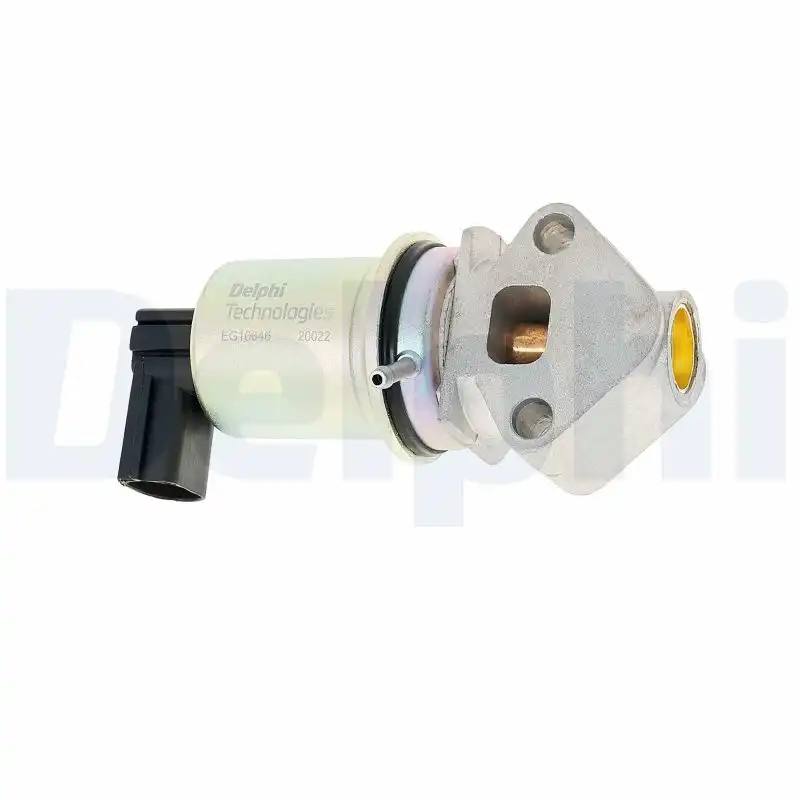 DELPHI EG10646-12B1