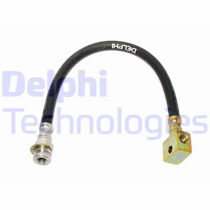 DELPHI LH0419