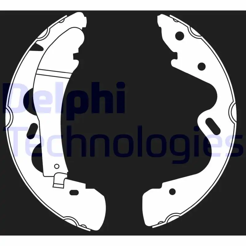 DELPHI LS2019