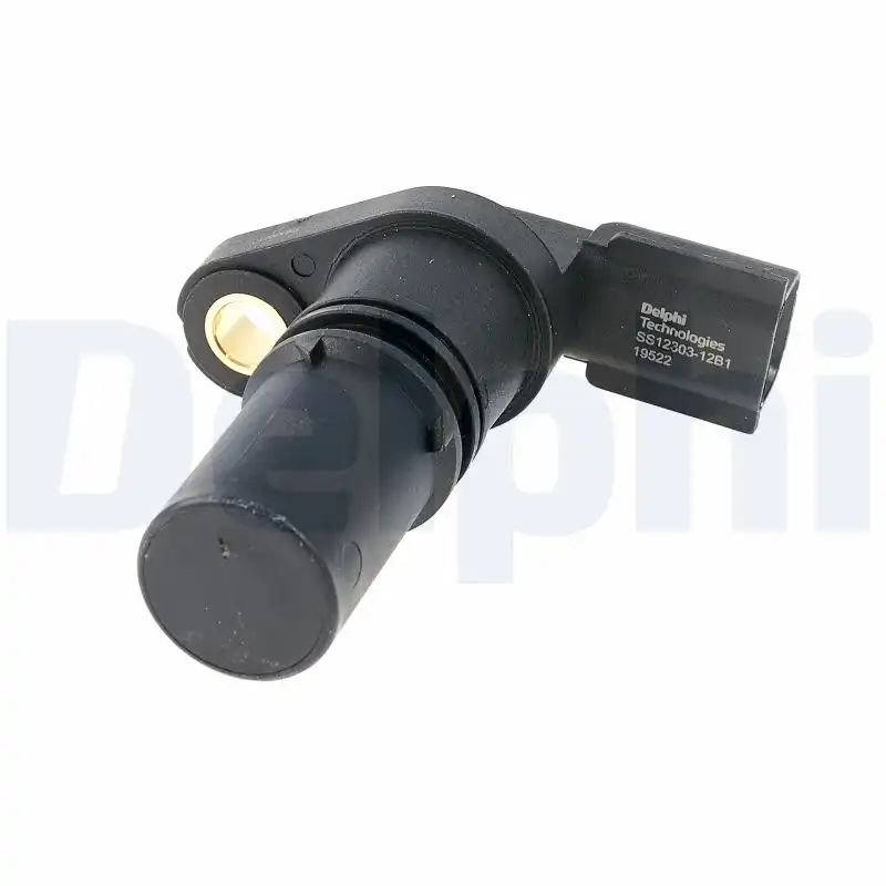 DELPHI SS21303-12B1
