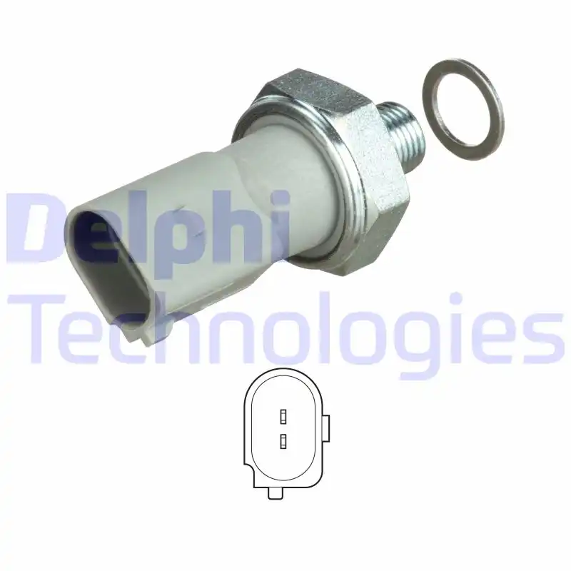 DELPHI SW90060