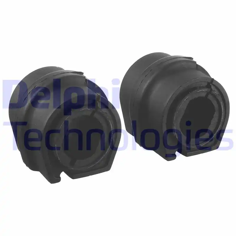 DELPHI TD1001W