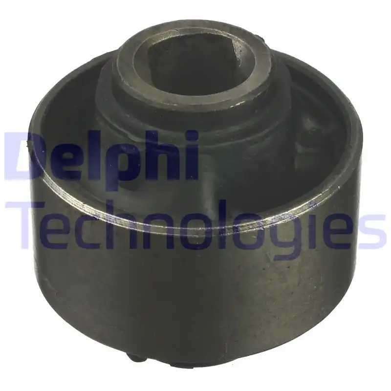 DELPHI TD1065W