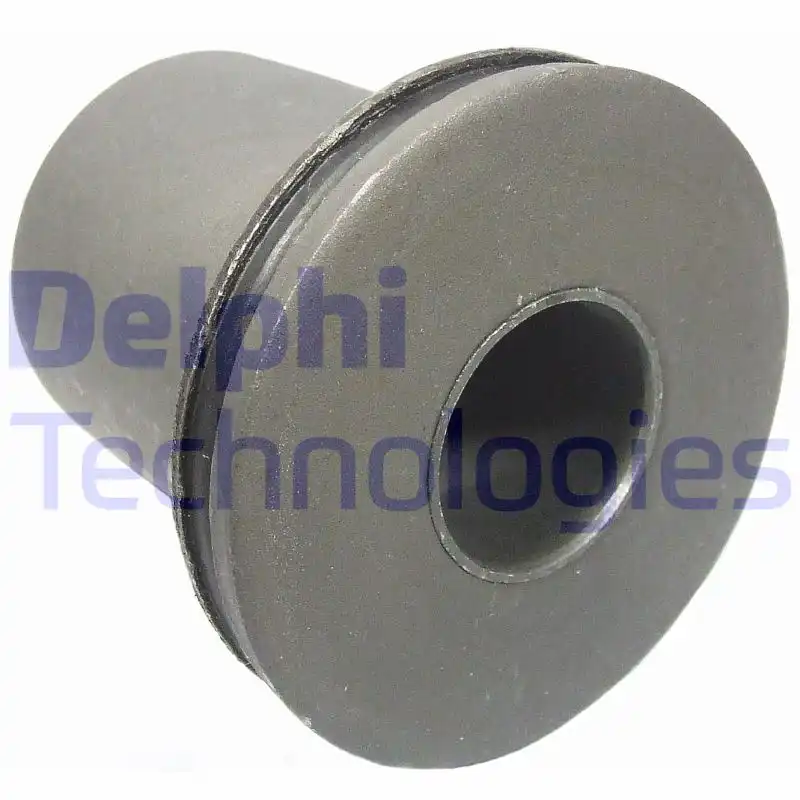 DELPHI TD697W