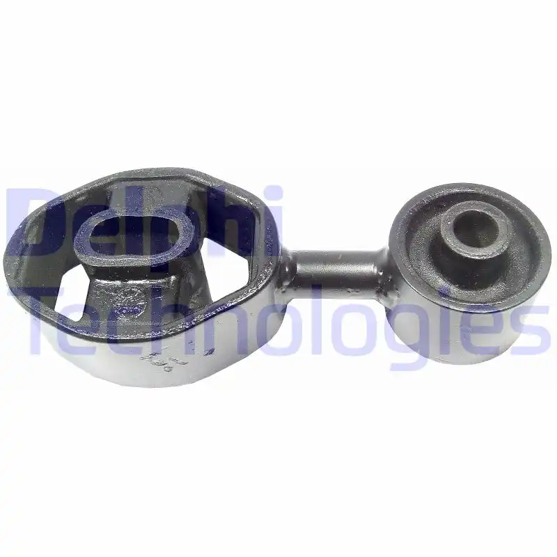 DELPHI TEM001