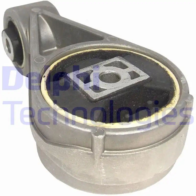 DELPHI TEM005