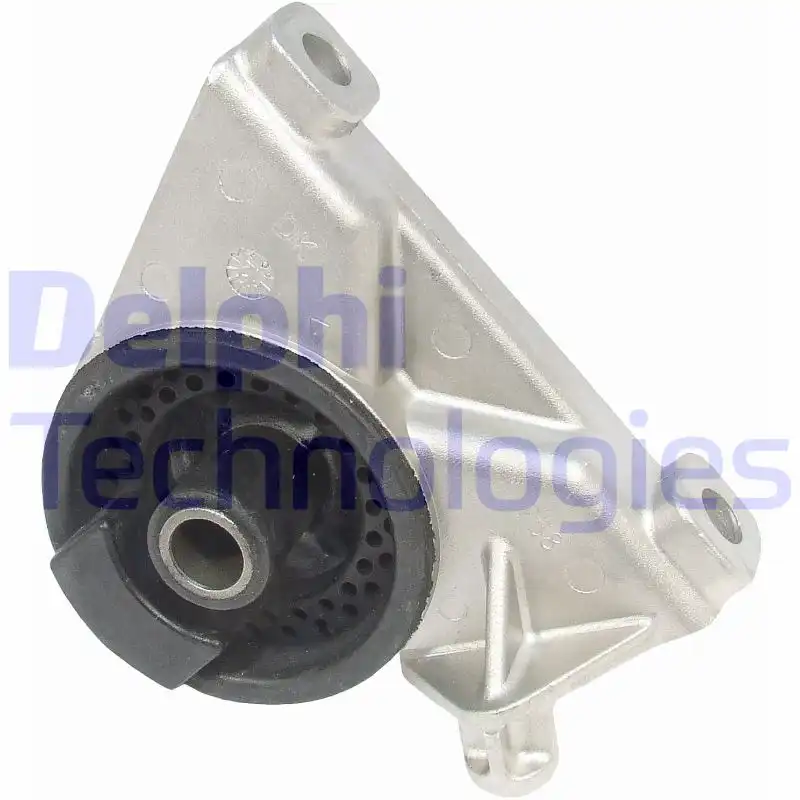 DELPHI TEM010
