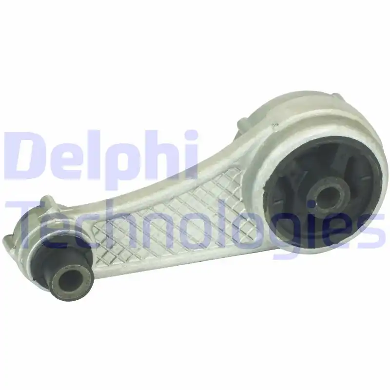 DELPHI TEM013