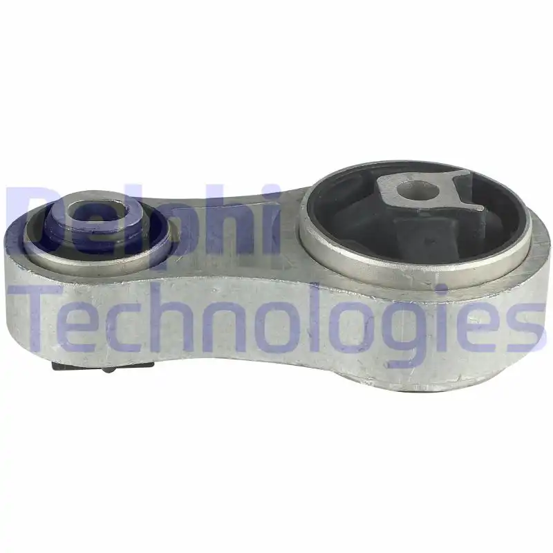 DELPHI TEM024